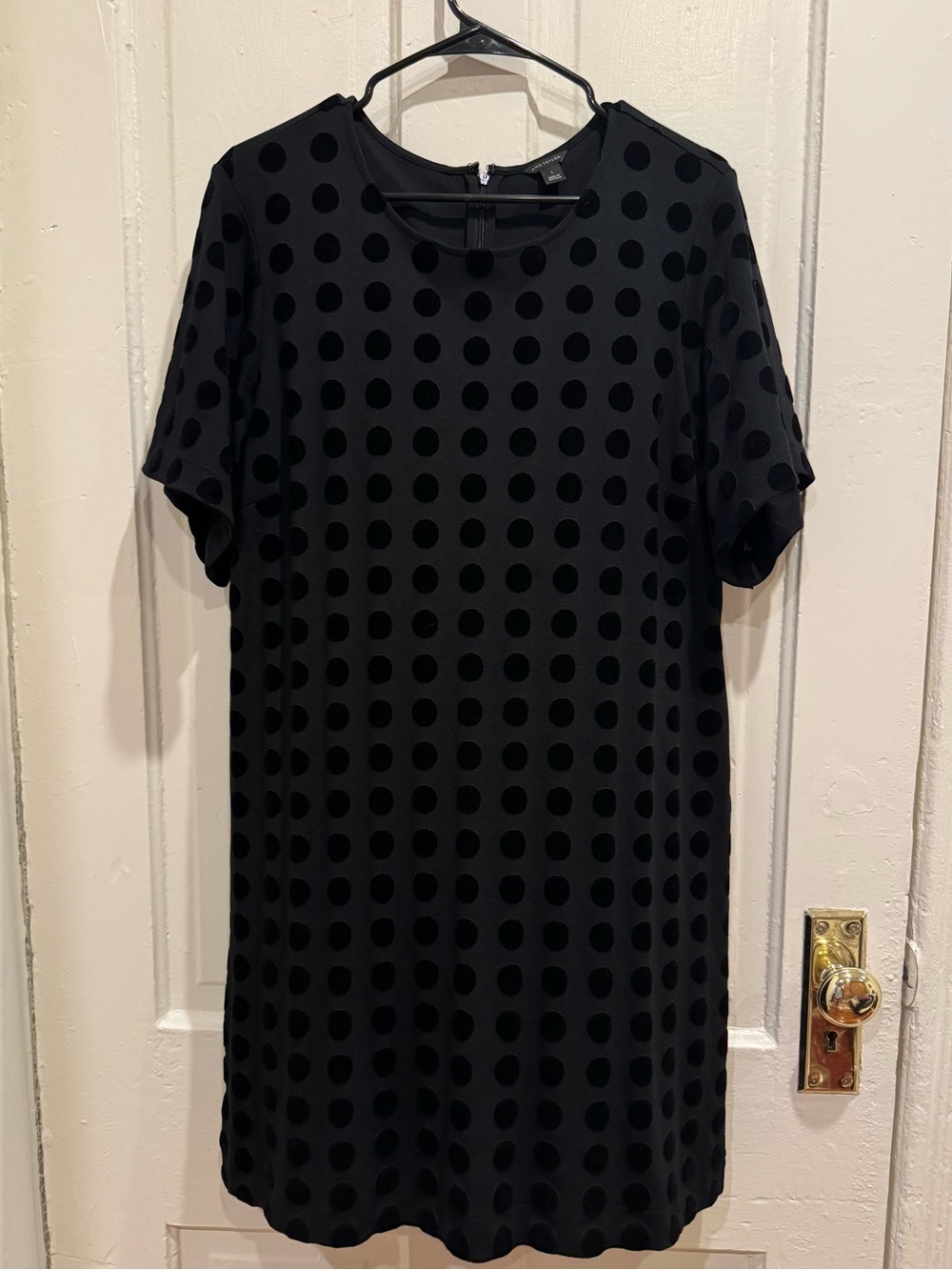 Ann Taylor Velvet Dot Dress, L